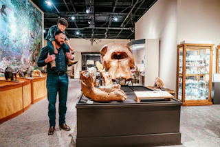 Brazos Valley Museum of Natural History in Bryan, Texas